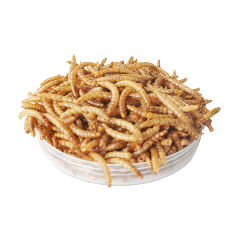 Hochprotein-Snacks für Hamster – Food Snacks High In Protein Bewertung und Preis