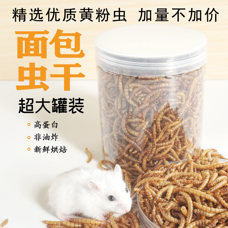 Hochprotein-Snacks für Hamster – Food Snacks High In Protein Bewertung und Preis