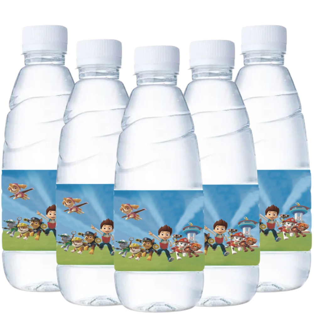 Paw Patrol Wasserflaschen-Etik – Candy Sour Strip Bewertung und Preis
